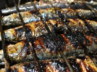 sardine bbq